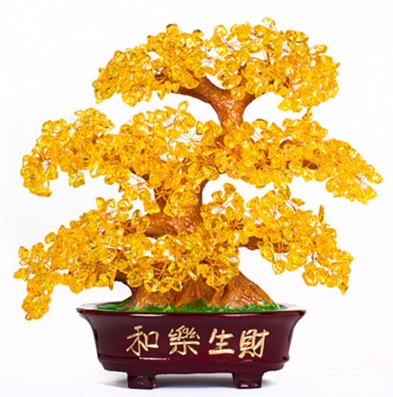 Fengshui Bonsai Tree of Life for Energy Healing & Luck